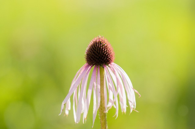 when-rejection-reigns