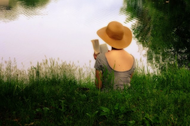 18664354026_e05ba4d1ff_k